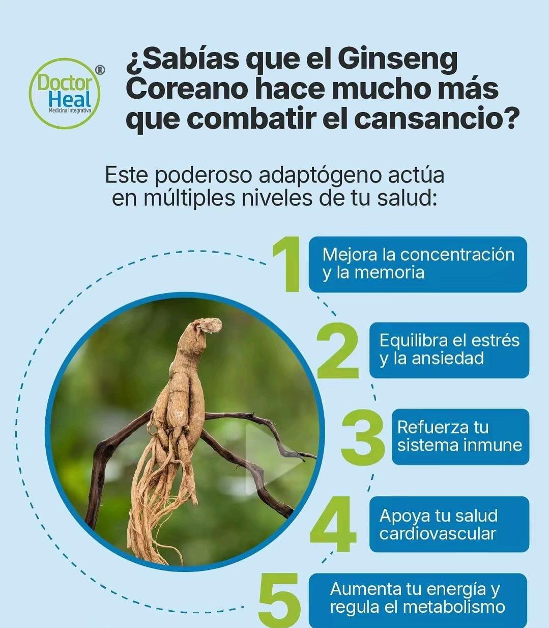 🌟 GINSENG ROJO – ENERGÍA, VITALIDAD Y BIENESTAR 💊
