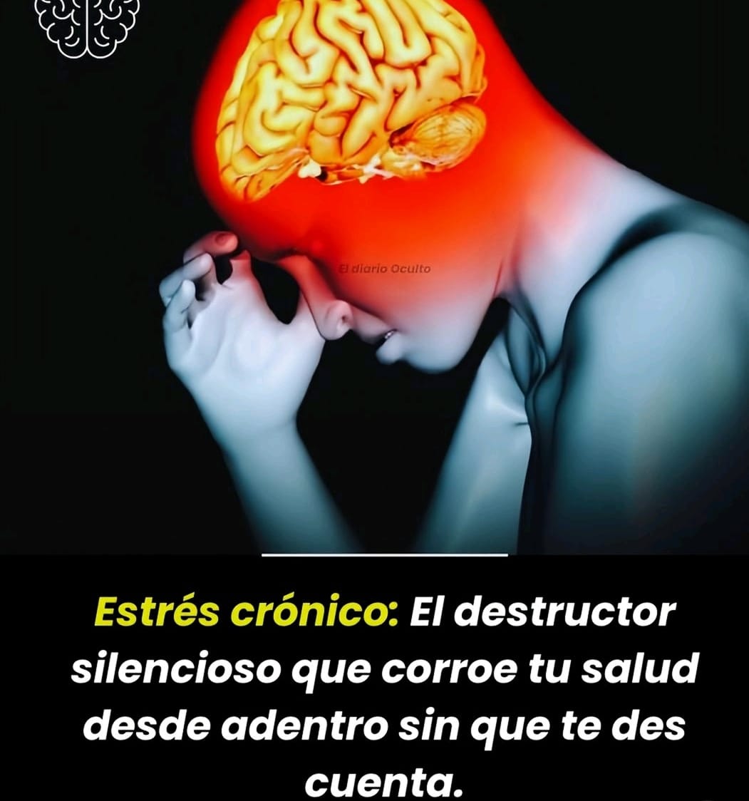 🌟 GINSENG ROJO – ENERGÍA, VITALIDAD Y BIENESTAR 💊