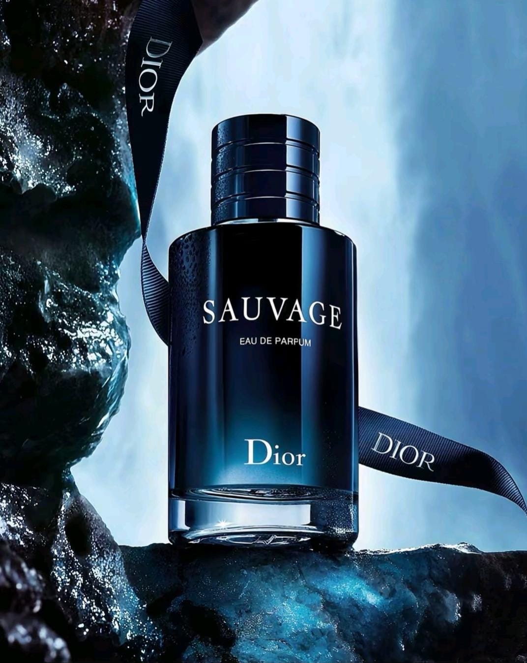 DIOR SAUVAGE-DONDE LA JERARGIA MANDA👑